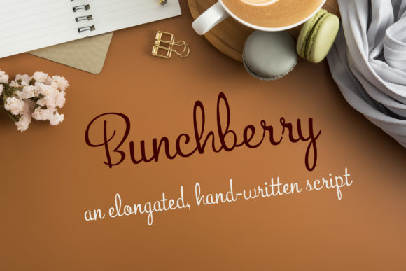 Bunchberry Font for Modern Web Design