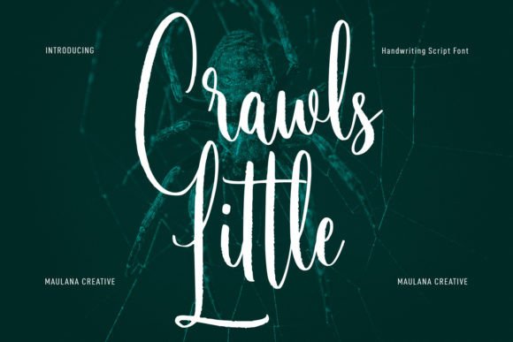 Little Crawls: A Handwritten Font for Modern Brands