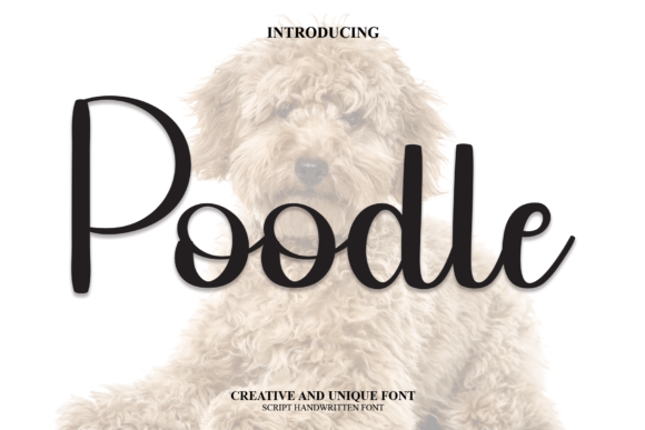 Poodle Font: Elevate Your Brand with Sweet Handwritten Style
